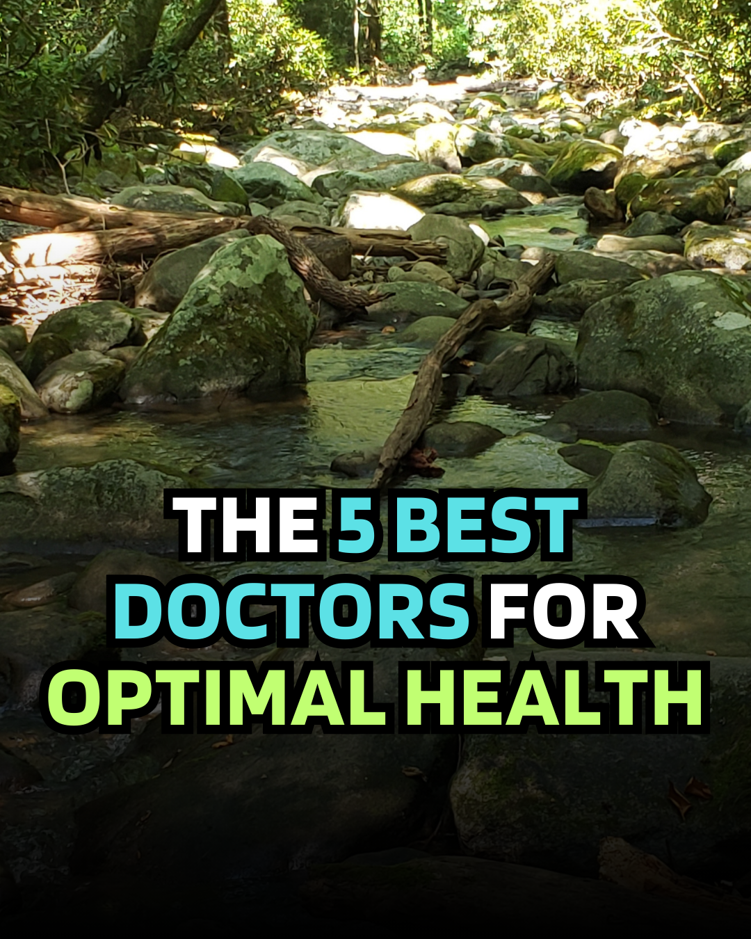 The 5 Best Doctors for Optimal Health